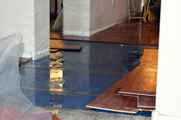 Professional Flood Damage Restoration technician working in Hope, RI